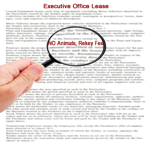executive office suite lease
